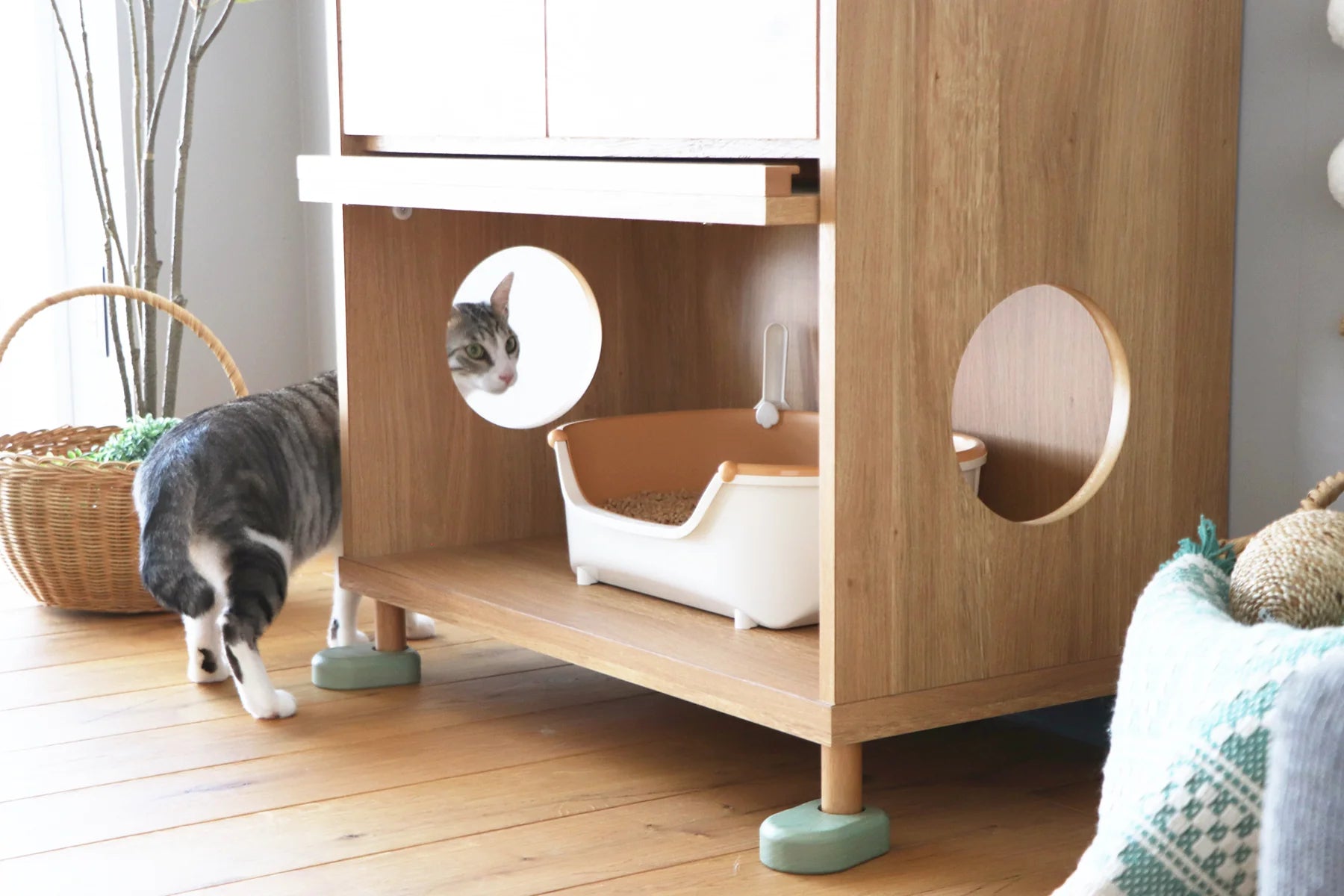 のぞきみチェスト