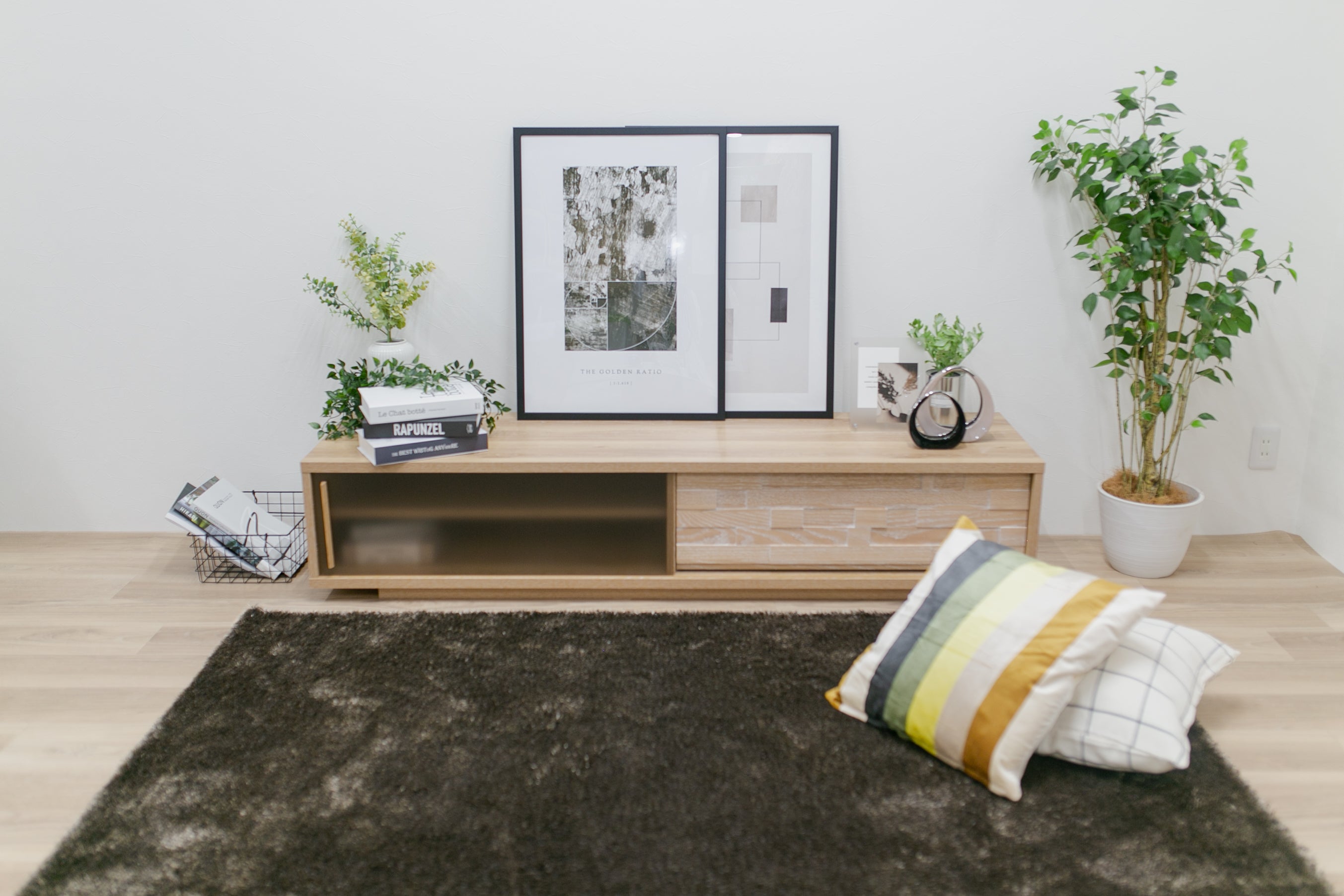 カヤーニ 170TVボード