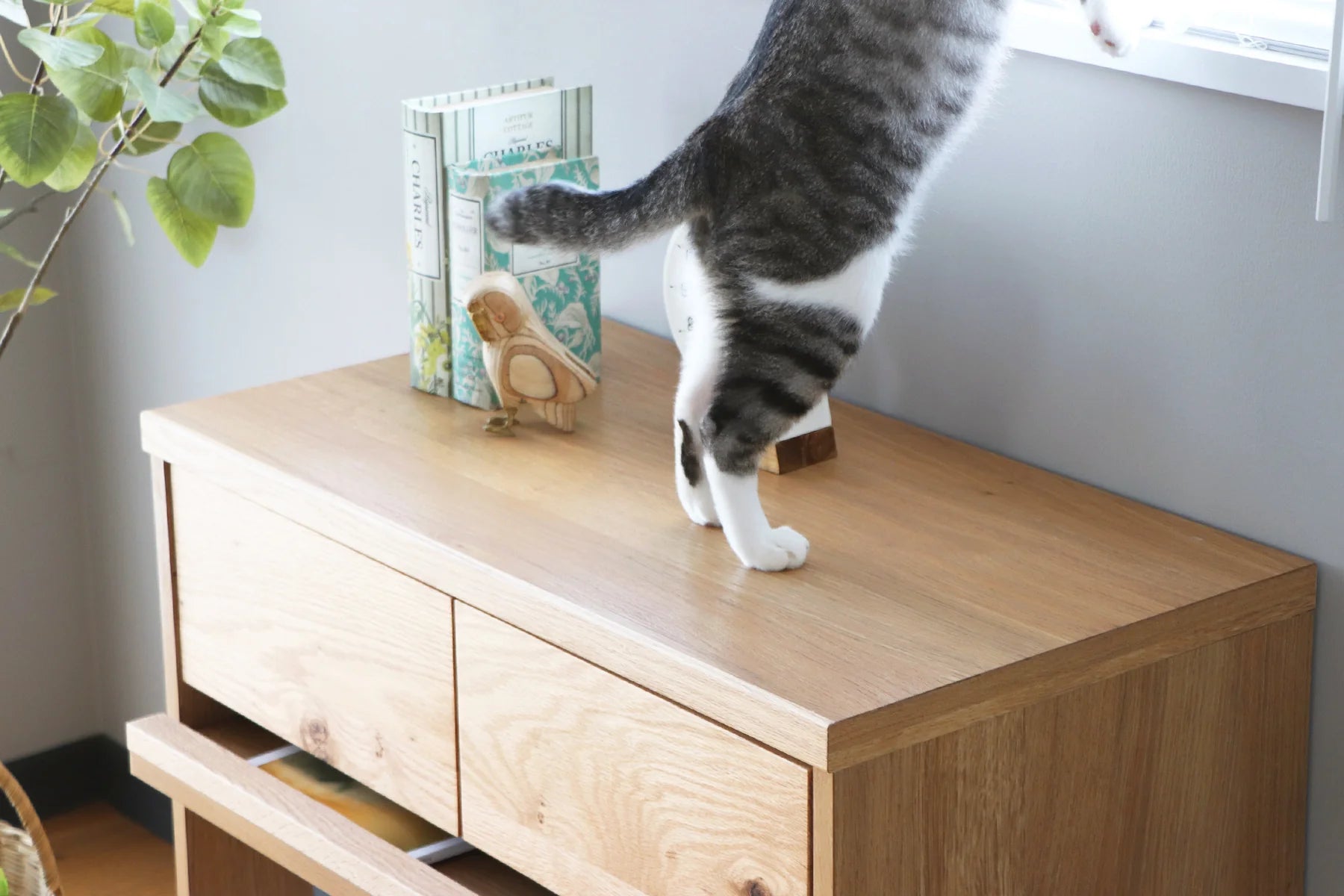 のぞきみチェスト