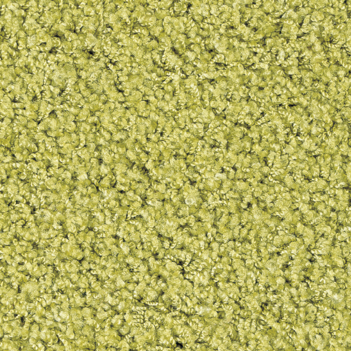 タフテッドカーペット ジャスパー