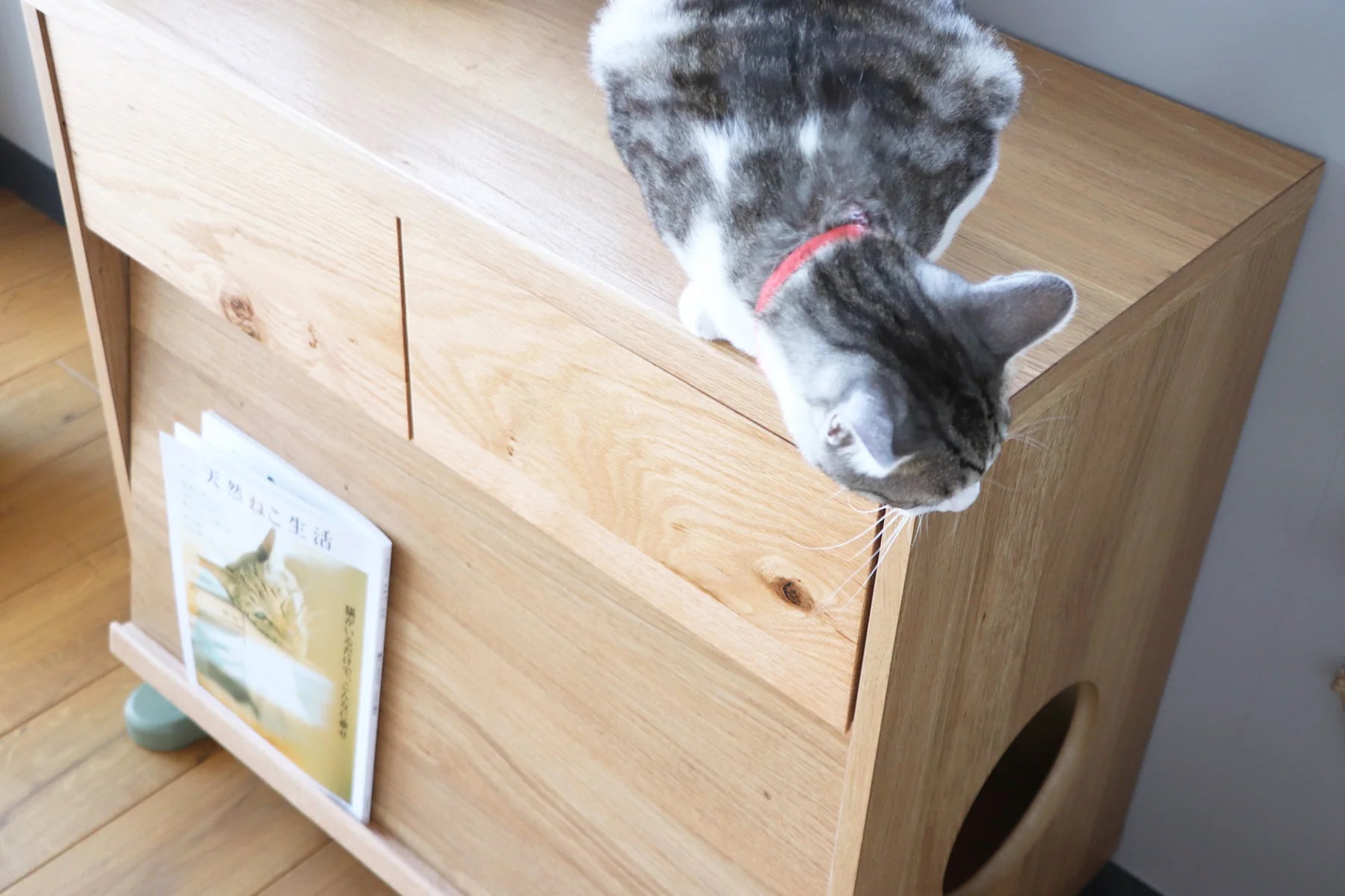 のぞきみチェスト