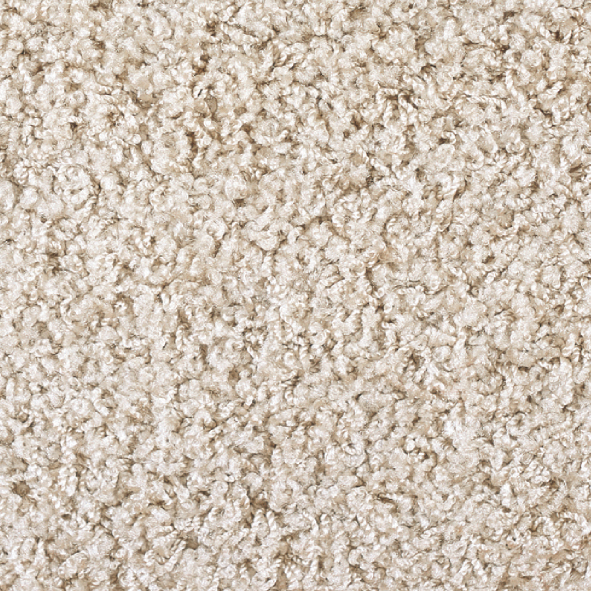 タフテッドカーペット ジャスパー