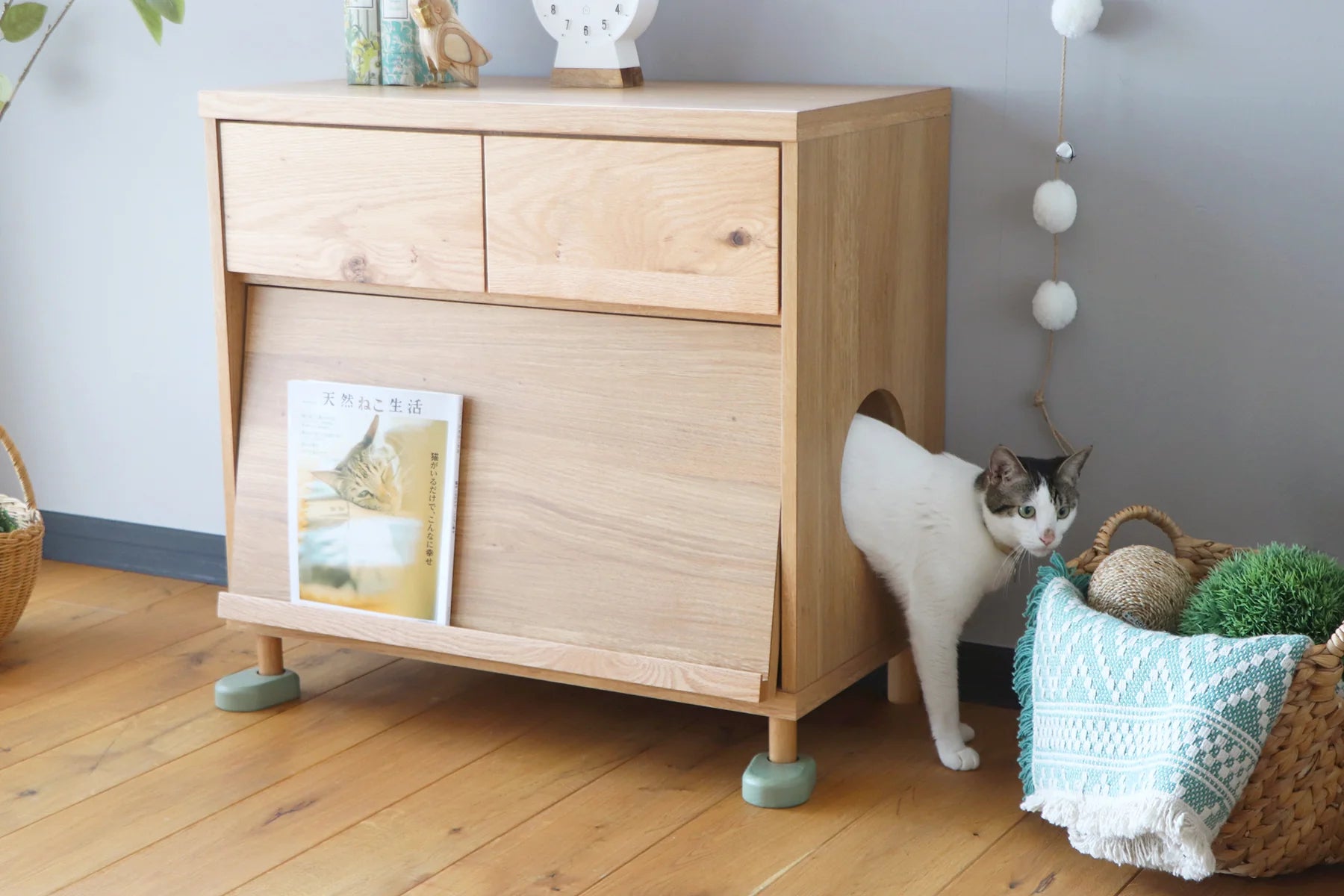 のぞきみチェスト