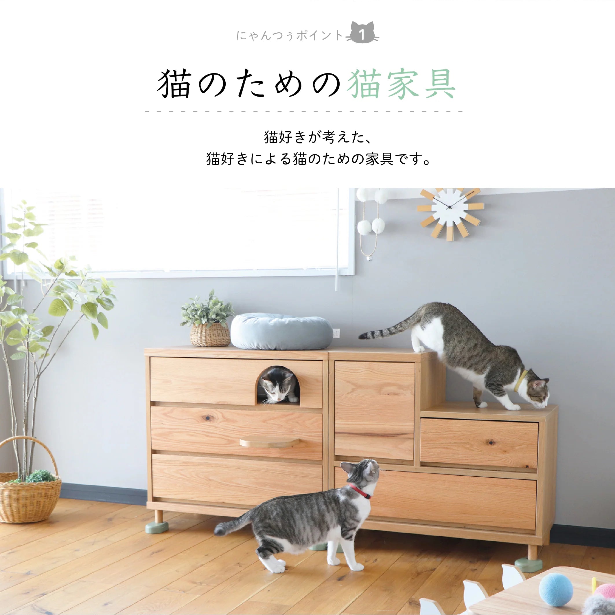 Hop Stepチェスト
