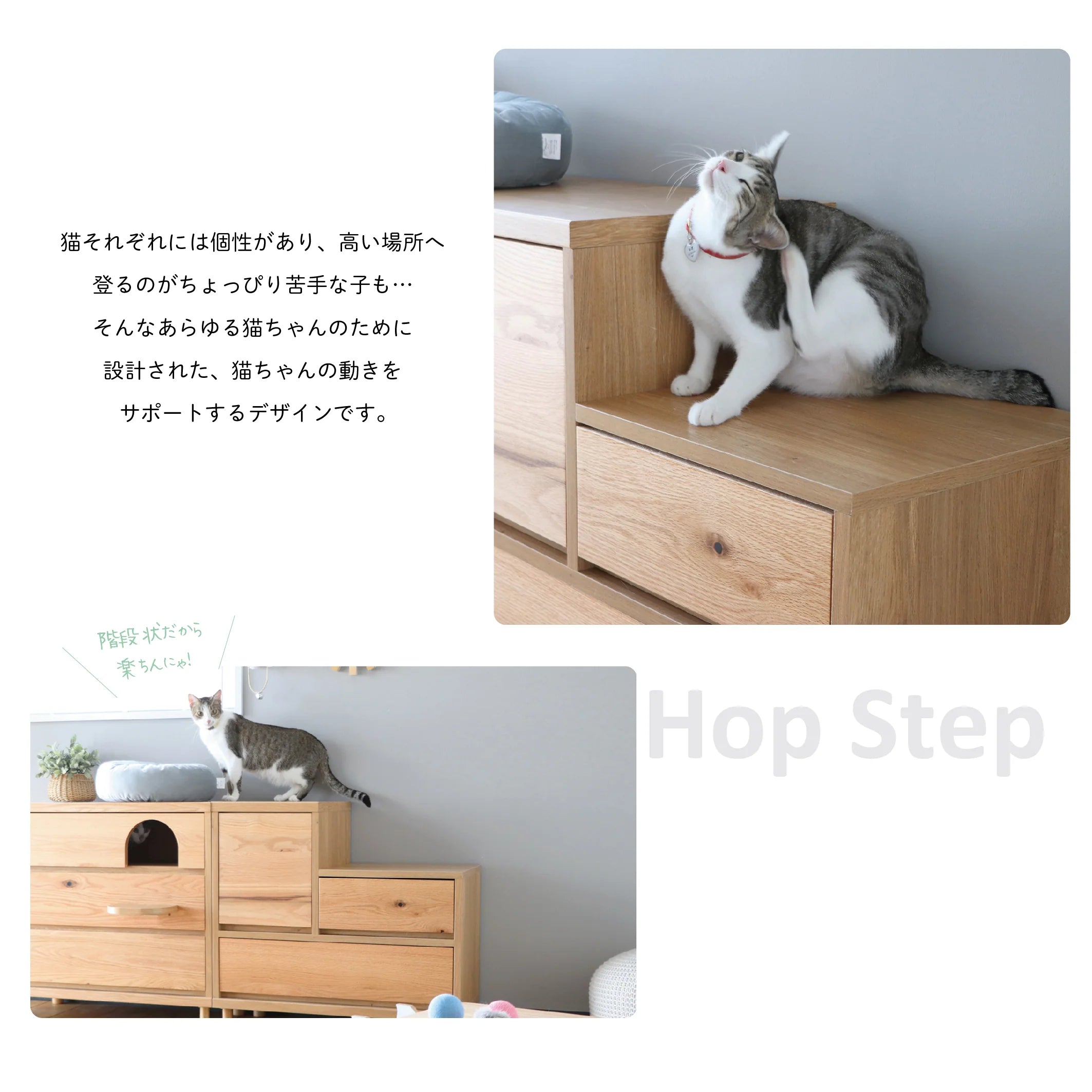 Hop Stepチェスト