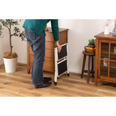 アシスタ ステップ台