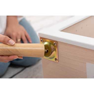 コレクションシェルフ