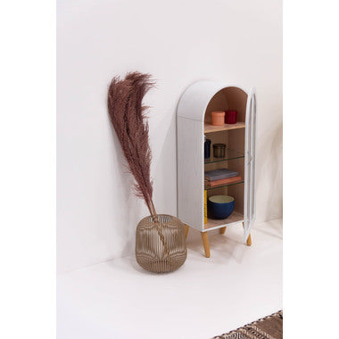 コレクションシェルフ