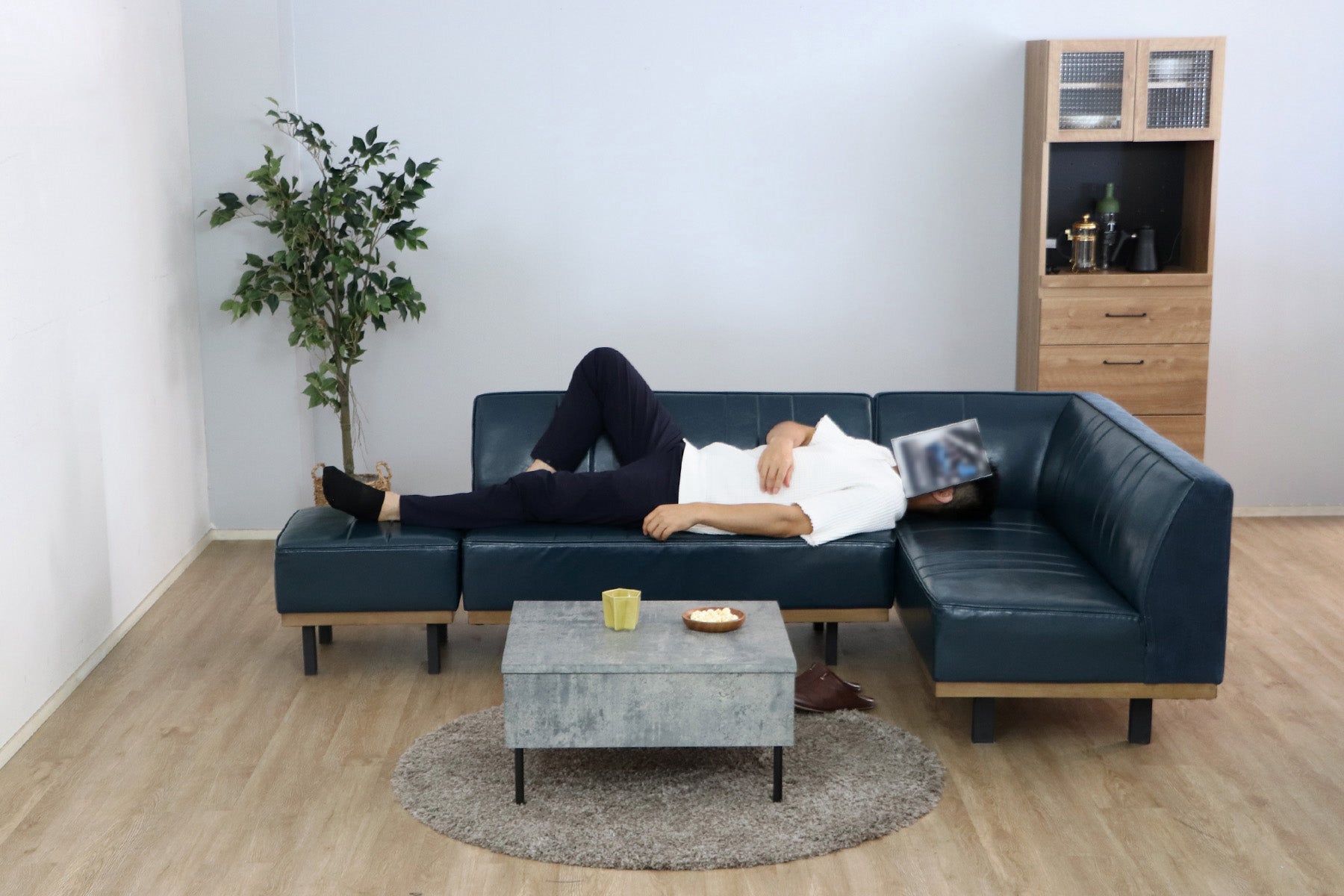 UPプーリー LDソファ R